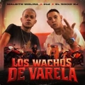 Los Wachos De Varela