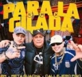 Meta Guacha Callejero Fino BM